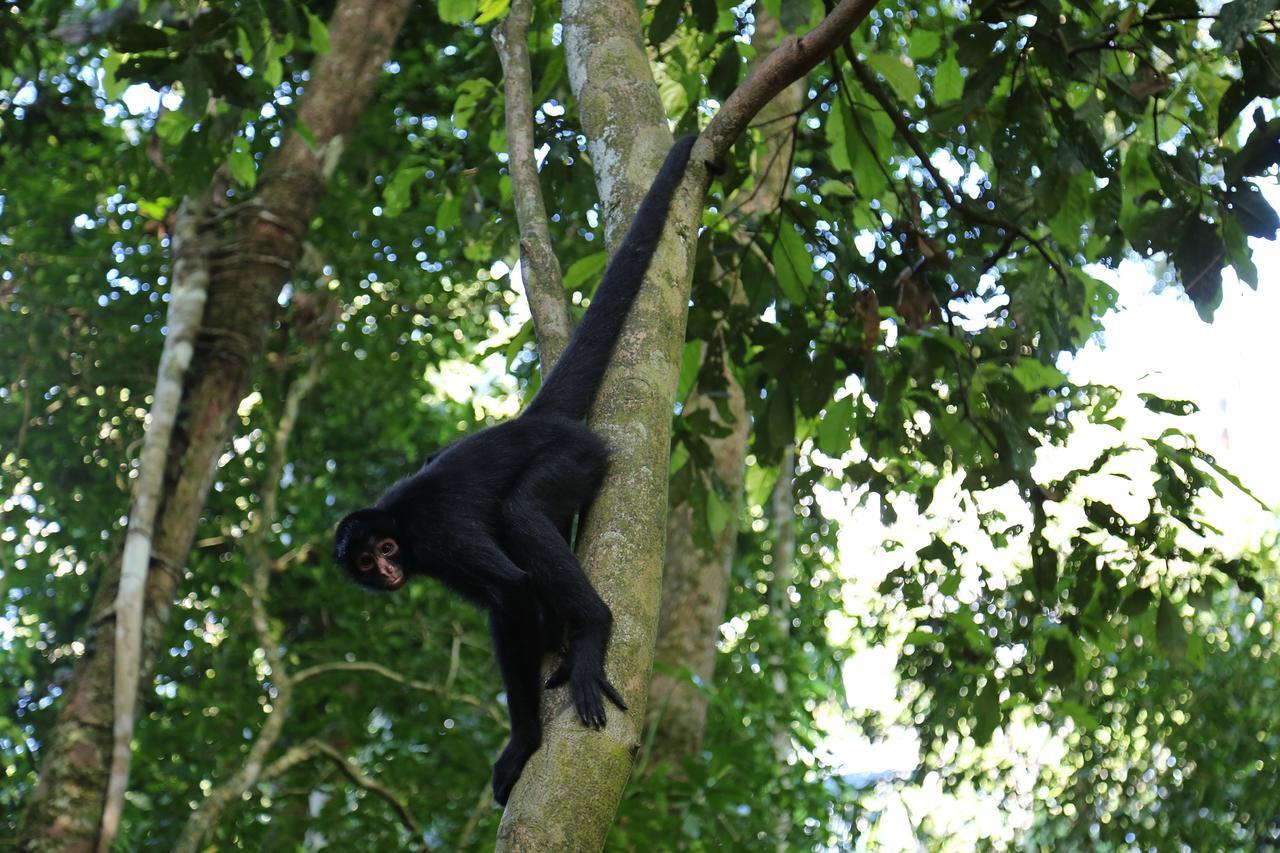 Ecoamazonia Lodge Пуерто-Мальдонадо Екстер'єр фото